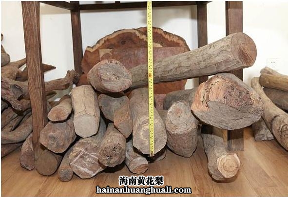 4000元一公斤中子料圆木，直径12至14厘米，长120厘米左右.