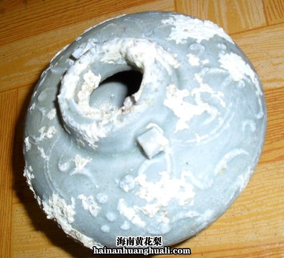 海瓷