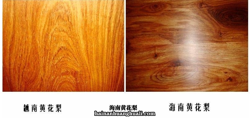 海南黄花梨与越南黄花梨对比图