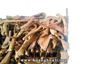 只能做工艺品的越南黄花梨根料,现在每吨也要20万元以上